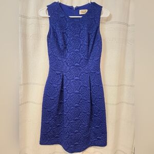 Women's Blue 0 Eliza J Dress